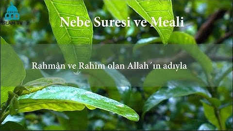 Nebe Suresi - Muhammad al Muqit