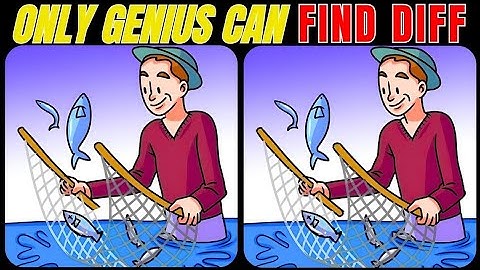 [Spot the difference] Only genius can spot the differences || @funwithpuzzleofficial