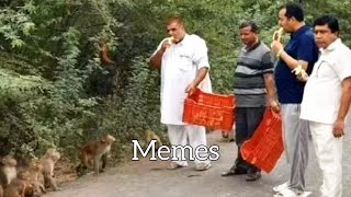 Funniest Memes You Missed This Week Try Not To Laugh Challenge 2025 Part 4