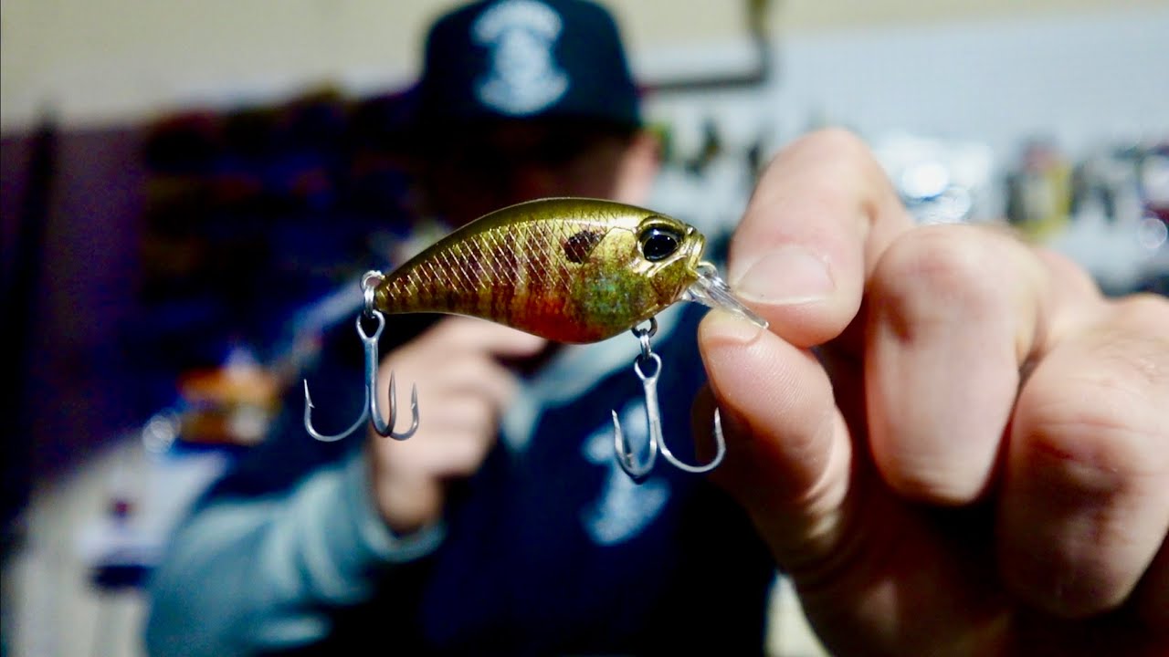 BIG FISH, SMALL CRANKBAITS, FALL BASS FISHING! |Fort Worth BFS|