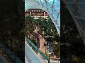 #qatar #qatarairport #qatarairways #airport #green #foryou #shorts #shortvideo #india