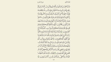 سورة البقرة مكررة 5 مرات (رعد الكردي) صفحة 41