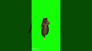 Rat Dance Green Screen,