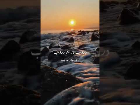دنيي كلا غروب ميادة بسيليس