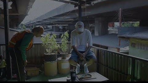Elevenfinger - Antifa (Official Music Video)