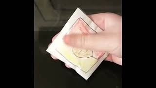 PaperSquishie