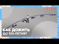 Как дожить до 100-летия? ТЕМЫ НЕДЕЛИ | Доктор 24