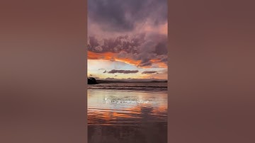 فأنزل الله سكينته عليه وأيده بجنود - تلاوة جميلة وهادئه🖤 - حالات واتساب قران