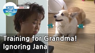 Training for Grandma! Ignoring Jana (Dogs are incredible) | KBS WORLD TV 210317