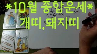 [10월 종합운세] 개띠.돼지띠 #사주#타로