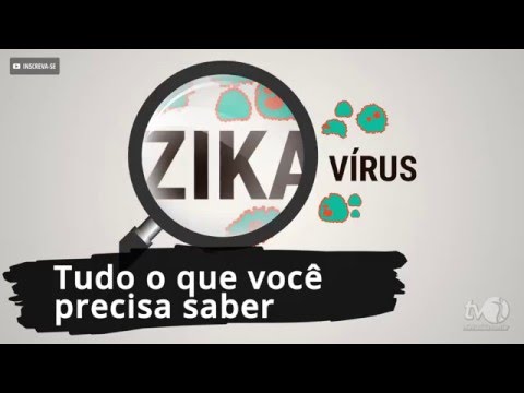 Vídeo: Zika: O Que Você Precisa Saber Antes De Viajar - Matador Network