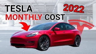 Can You Afford a Tesla? Monthly Cost Breakdown |  Tesla Model 3 & Y