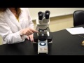 Microscope Parts and Functions Quiz