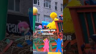 Sesame Street Banned This Episode After Kids Freaked Out 👹📺