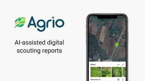Scouting fields with artificially intelligent assistant