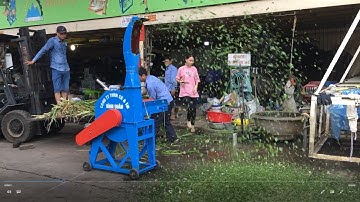 Máy băm cỏ công nghiêp 2T băm cỏ voi, cây ngô, bã mía cho gia súc cực nhanh 1-2 tấn/giờ