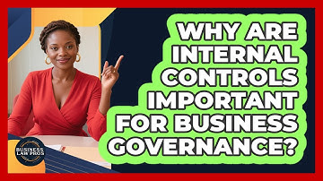 Why Are Internal Controls Important For Business Governance? - Business Law Pros