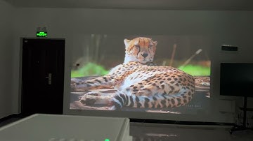 Projector Everycom E700 2560x1440p 4K Android 11 Smart TV for Home LED hd chinese av video projector