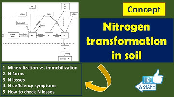 Nitrogen transformation in soil || N losses || N use efficiency