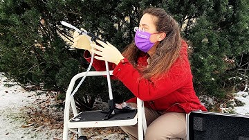 Monitoring Biodiversity to Predict Future Events Featuring Professor Elizabeth Clare