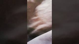 60 Sal Ka Uncle Cheay