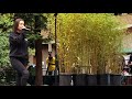 Mitski Goodbye My Danish Sweetheart Live At Stern Grove San Francisco CA 7 14 19 