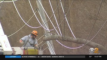 Trees, Power Lines Go Down In Orange County
