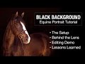 Black Background Equine Portrait Tutorial