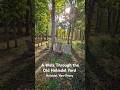 Strictly History: Beautiful Engravings at Old Holmdel Yard Cemetery #history #cemetery #creepy