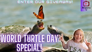 World Turtle Day!|Mirabella TV partnering with American Tortoise Rescue and Turtle Survival Alliance