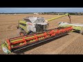 CLAAS LEXION 8900 - 14M - BIGGEST COMBINE HARVESTER - TERRA TRAC - IN FRANCE 🇫🇷