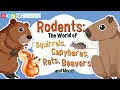 Rodent Ecology and Adaptations