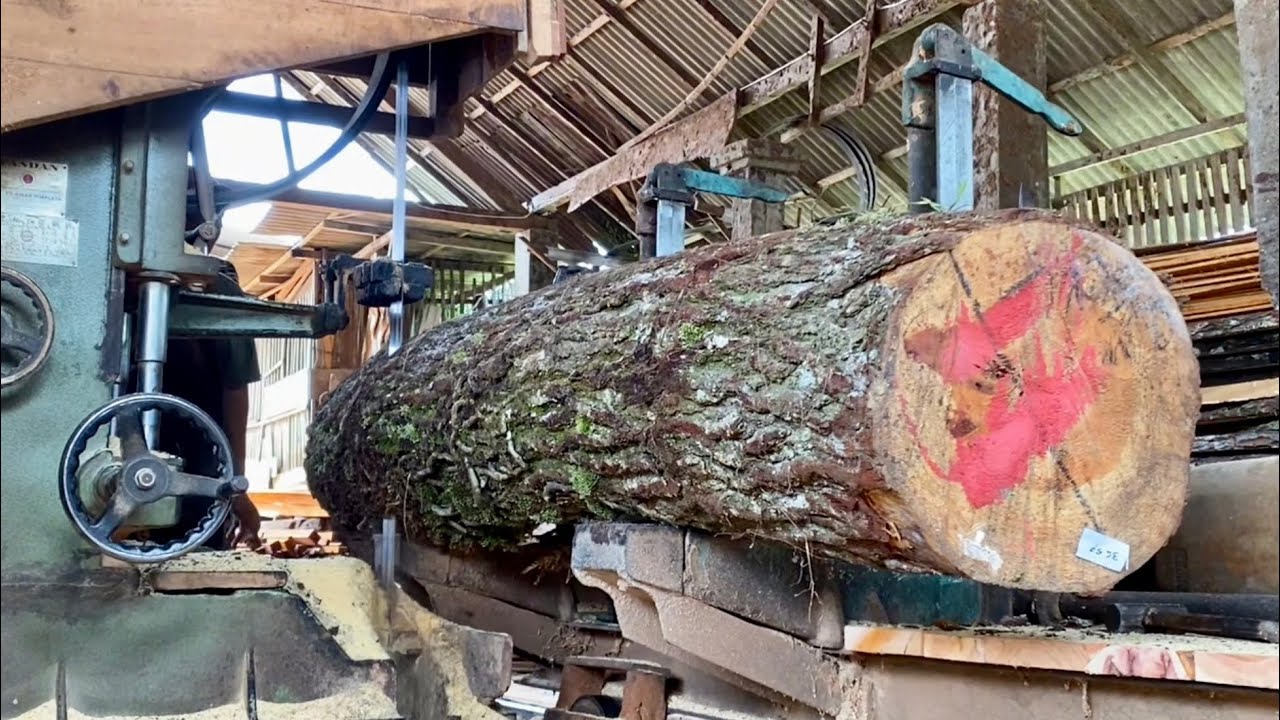 The process of sawing quality pine wood in the factory - YouTube