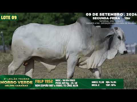 LOTE 09   FBLP 1952