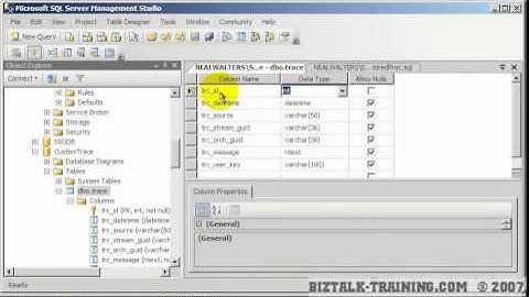 BizTalk 2006/R2 - 16-02 Debugging with SQL/Trace 1 of 4 (SQL Artifacts & Csharp)
