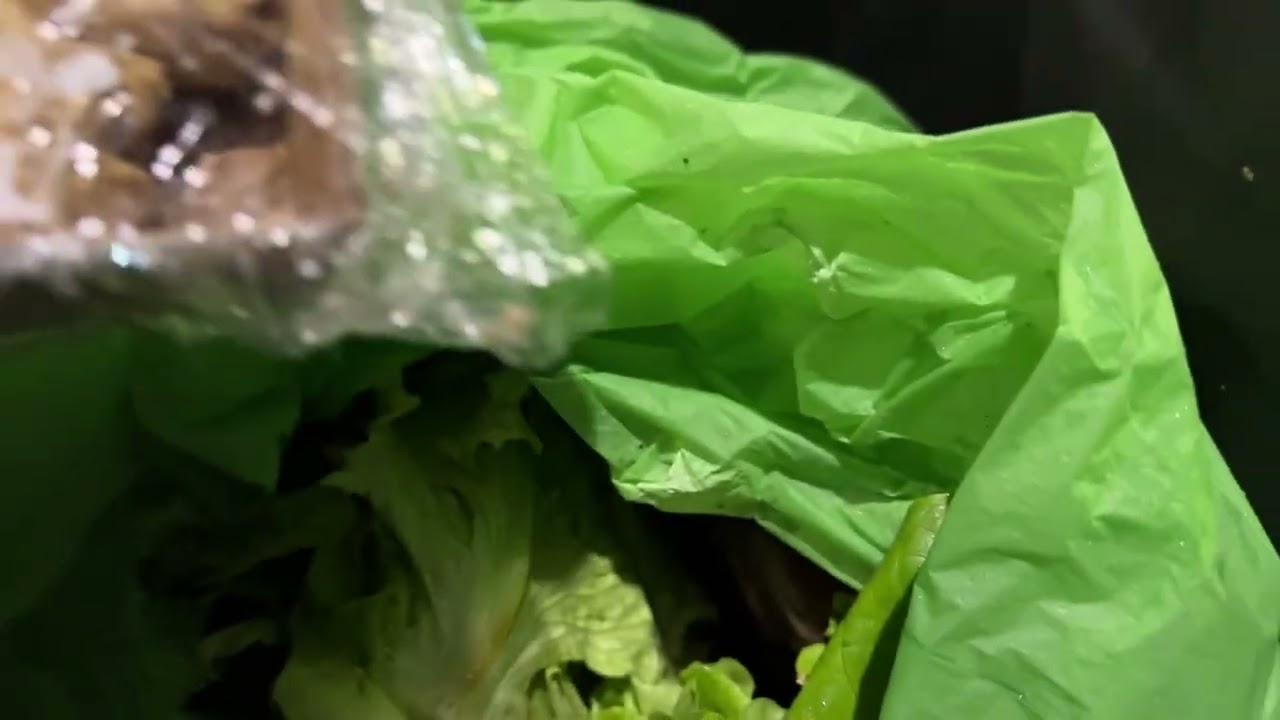 DUMPSTER DIVING ITALY.PALDO NG ORANGE AT STRAWBERRY SA BASURAHAN 