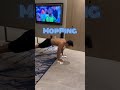 Exercises me fun😃 clean your house with this moping training 😉😃.  #workout #shortsfeed