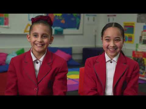 What is a Nurse &amp; Midwife (NSW Health promo)