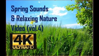 4K New 2022 Spring Sounds & Relaxing Nature Video - Sleep/ Relax/ Study/ Meditate - Ultra Hd Vol. 5