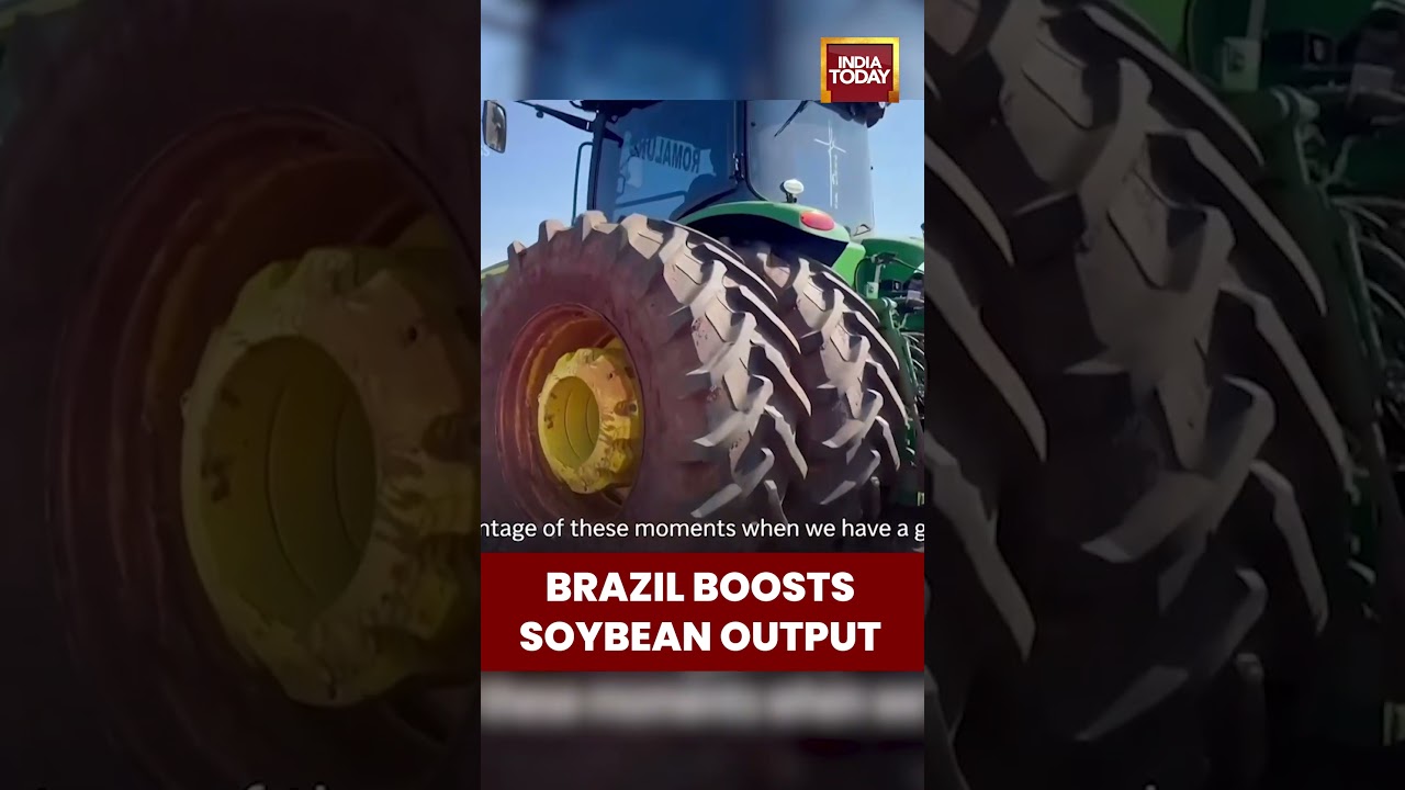 Brazil Ramps Up Soybean Production Amid US-China Trade Rift