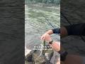 Hired a videographer Paid her in Chick Fillet and Capri Suns #showproducer #fishing #smallmouthbass