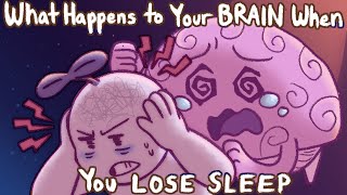 What Happens To Your Brain If You Don&#39;t Sleep