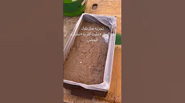 مثبت الرمال تجارب ابتكارات تثبيت الرمال تثبيت التربه تجارب تثبيت الرمال الامارات العين 