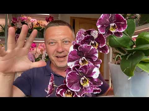 Особенности освещения