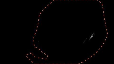 Foreground Segmentation of Dolphins