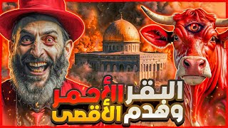 البقر الأحمر و هدم المسجد هل اقتربت الحرب الأخيرة ونهاية العالم !