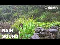 Asmr rain in the forest rain sound  thunder  for sleepingnatural white noise to end insomnia