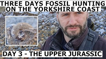 3 DAYS #fossilhunting ON THE #yorkshirecoast FINDING #fossils RARE UPPER #jurassic #ammonites