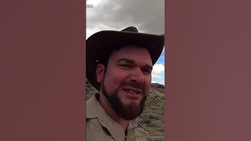 What has Danny found#twitch #fossils #scienceoutreach #education #science #paleontologizing
