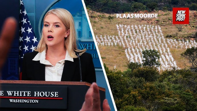 Karoline Leavitt blasts reporter over Trump’s South Africa video:  ‘Ridiculous line of questioning!’